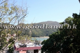 清水湾海景村屋出租
