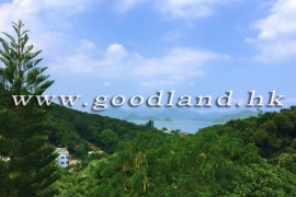 清水湾花园村屋出租