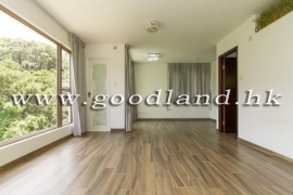 清水湾花园村屋出租
