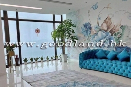 Clear Water Bay Renovated Garden Villa For Sale