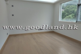 清水湾绿景村屋出租
