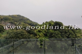 清水湾绿景村屋出租