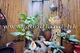 Clear Water Bay Prestigious Apartment For Sale
