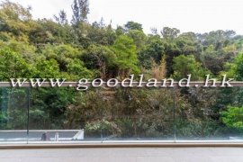 CLEAR WATER BAY Mount Pavilia Apartment For Sale & For Rent