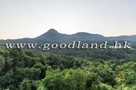 Clear Water Bay Convenient Location Village House for Sale
