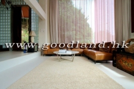 Clear Water Bay Renovated Village House for Sale