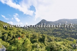 Clear Water Bay Detached Lawn Garden Village House for Sale