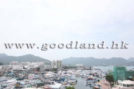 【西贡海景村屋出售】花园