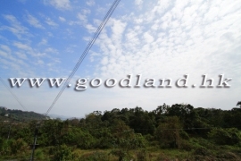 Open Sea & Greenery View | Sai Kung Village House for Rent | 4br