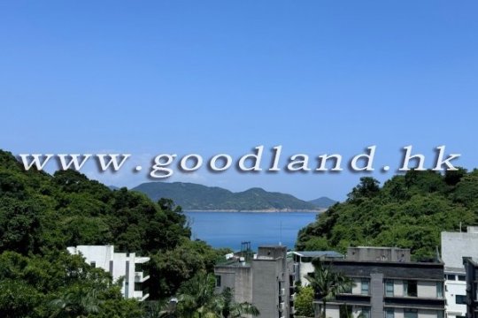 CLEAR WATER BAY Renovated Greenery View House with Roof Garden For Sale