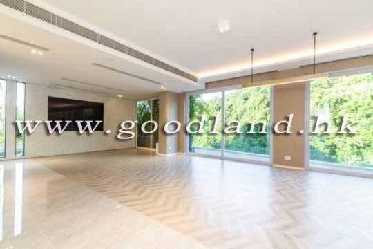 Clear Water Bay Detached House with Big Garden for Sale