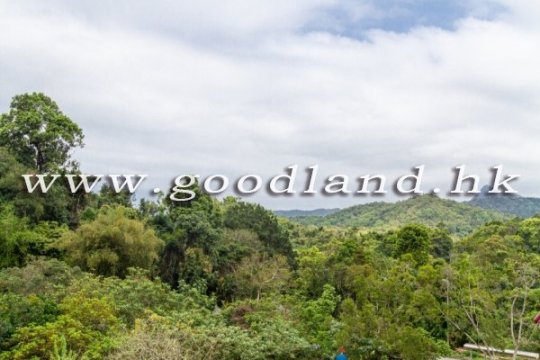 Sai Kung Village House for Sale | Renovated, Peaceful Greenery View & 4 En-suites