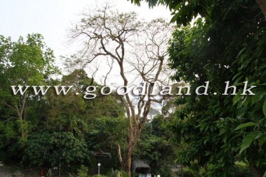 Sai Kung Village House for Sale | Deeded Parking, Front and Back Yards & 3 En-suites