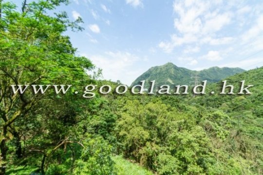 【清水湾绿景屋苑住宅出售】绿景・实用家庭布局