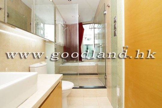【清水湾品味装修屋苑住宅出租】品味装修・绿景