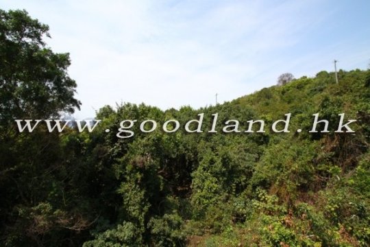 Floral Villas Poolside House For Rent | Sai Kung